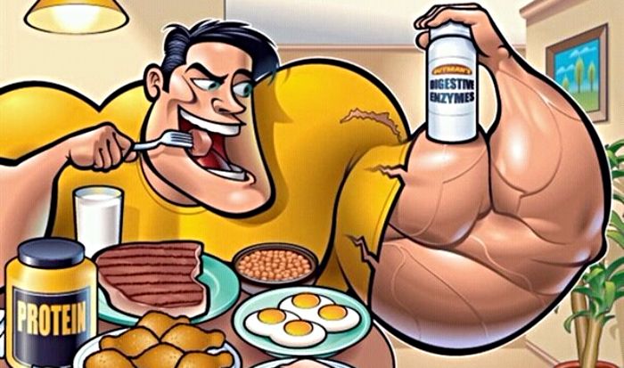 функции разных видов стероидов, как сделать правильный выбор?